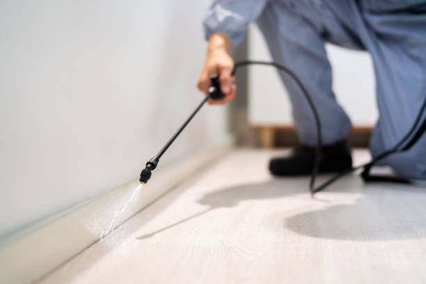 Licensed Rodent Control service in Logan County County, AR - Nex Pest Control