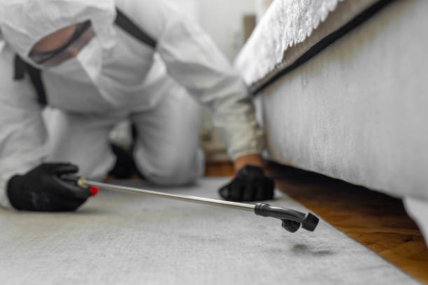 Professional Rodent Control technician working in Logan County County, AR